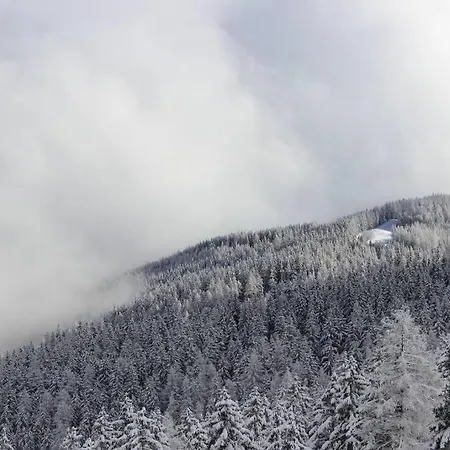 Zirbenchalet Klippitz - Erholung Mit Zirbenkraft Alpstuga *