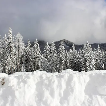 Zirbenchalet Klippitz - Erholung Mit Zirbenkraft *